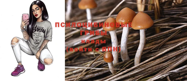 соль курить ск Струнино