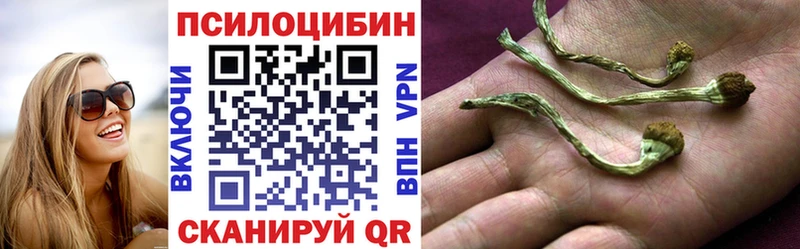 Галлюциногенные грибы мицелий Тбилисская